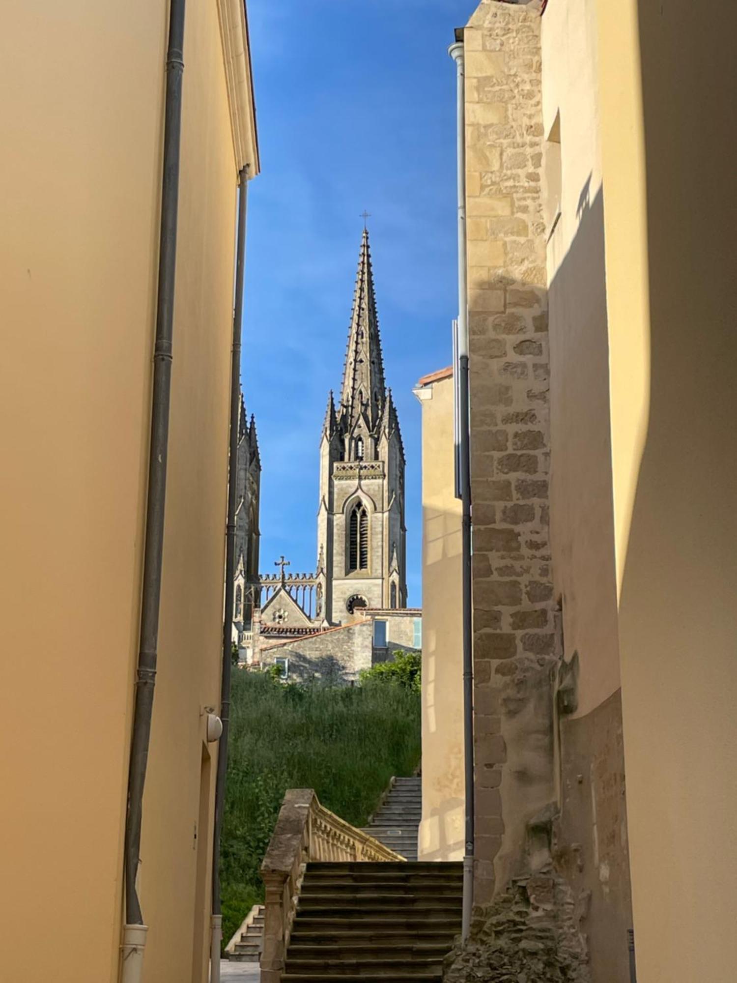 Chez Jean-Yves Et Zoe - Le Saint Andre - Au Calme, Tres Propre, Proche Parkings, Clim Apartman Niort Kültér fotó