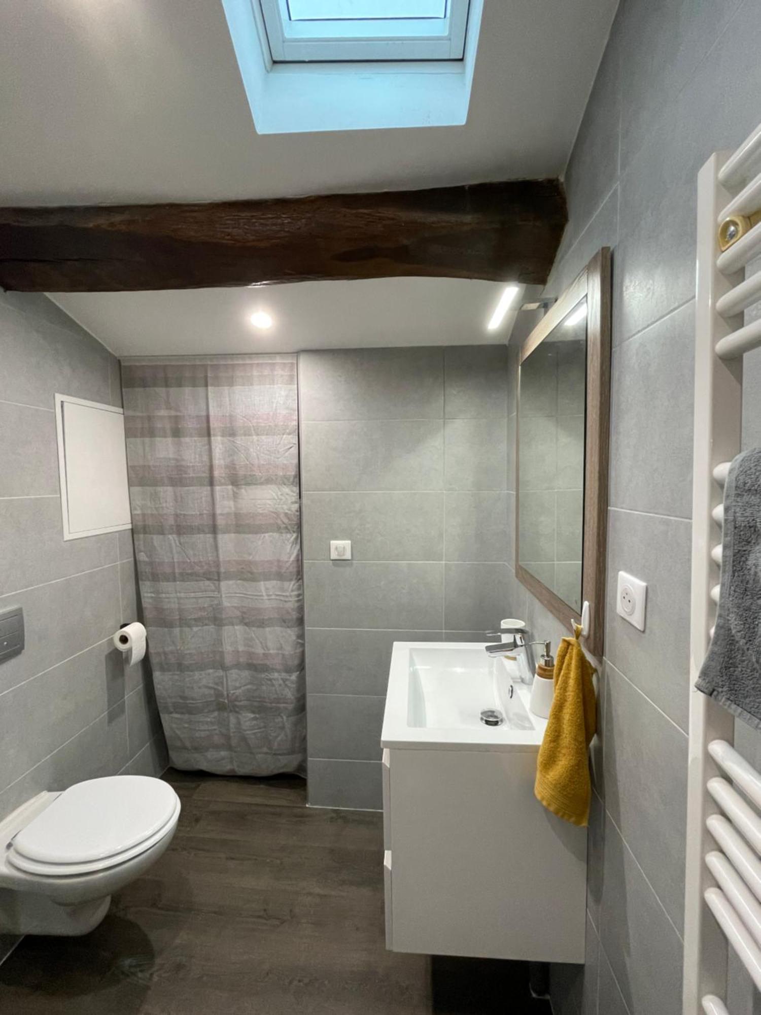 Chez Jean-Yves Et Zoe - Le Saint Andre - Au Calme, Tres Propre, Proche Parkings, Clim Apartman Niort Kültér fotó